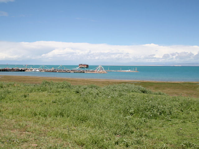 043909_xining5