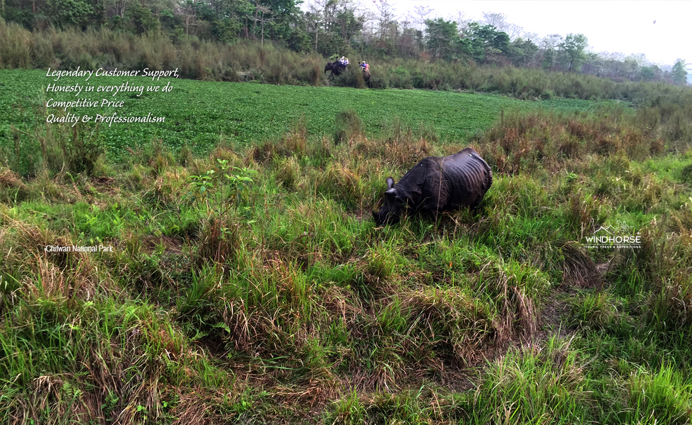 Wildlife Tour in Nepal