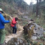 Rhododendron & Walking Tour