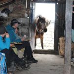 Dzongri & Goechala Trek -Sikkim