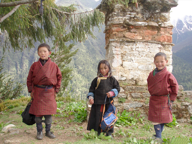 Koina - Laya