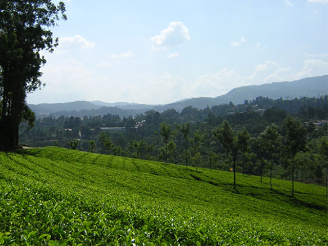 Ooty (Udhagamandalam)