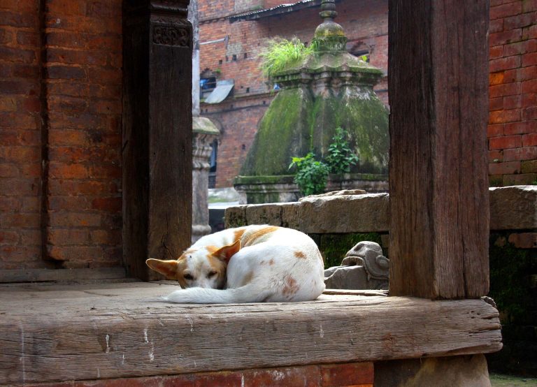 Bhaktapur