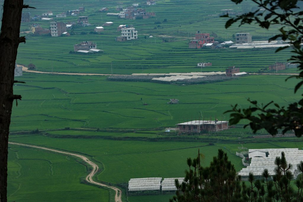Panauti