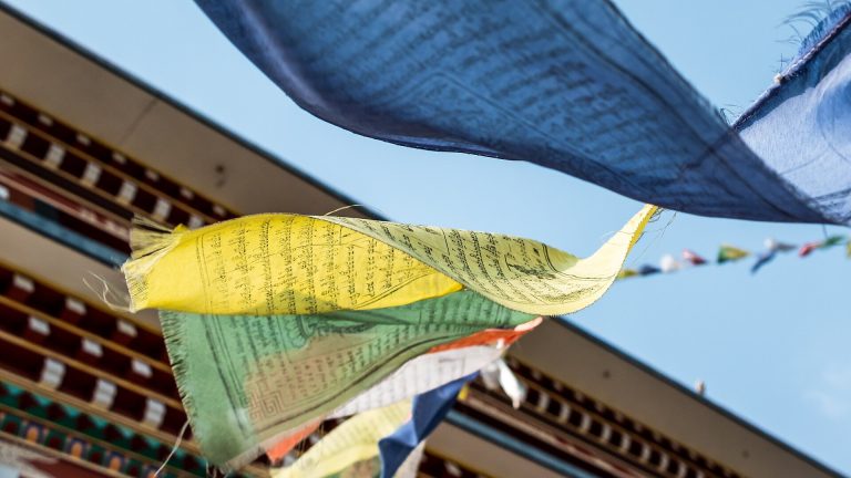 Thrangu Tashi Yangtse Monastery