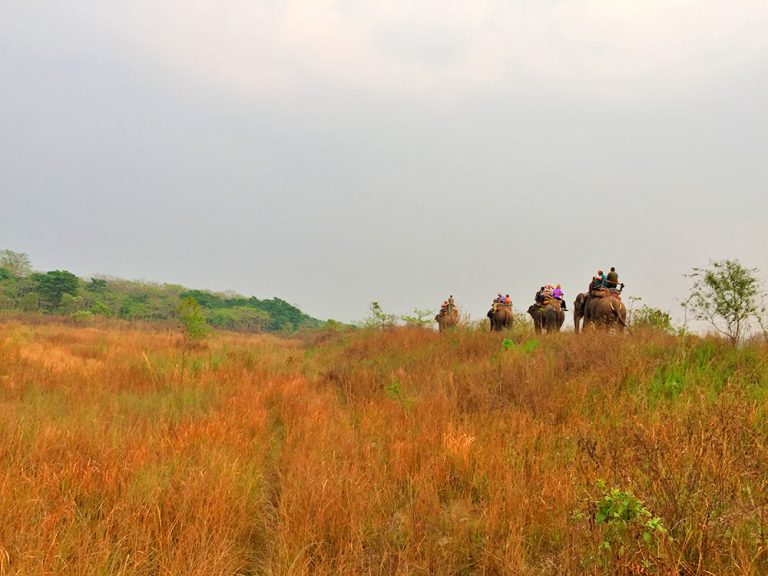Chitwan National Park