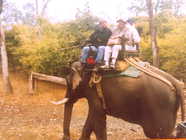 Bandhavgarh