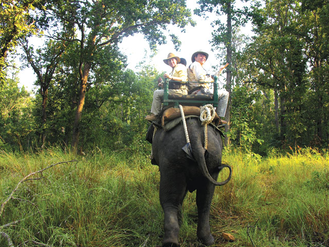 Bandhavgarh