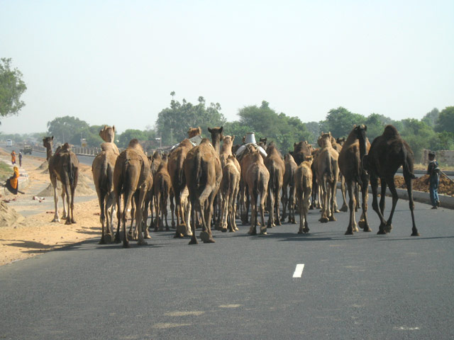 Orchha