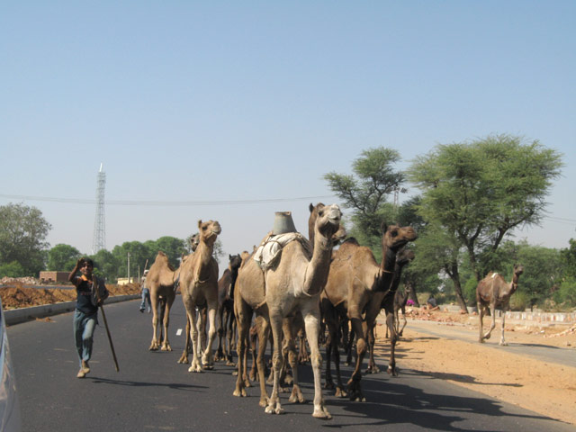 Orchha