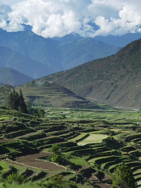 Chimi Lhakhang
