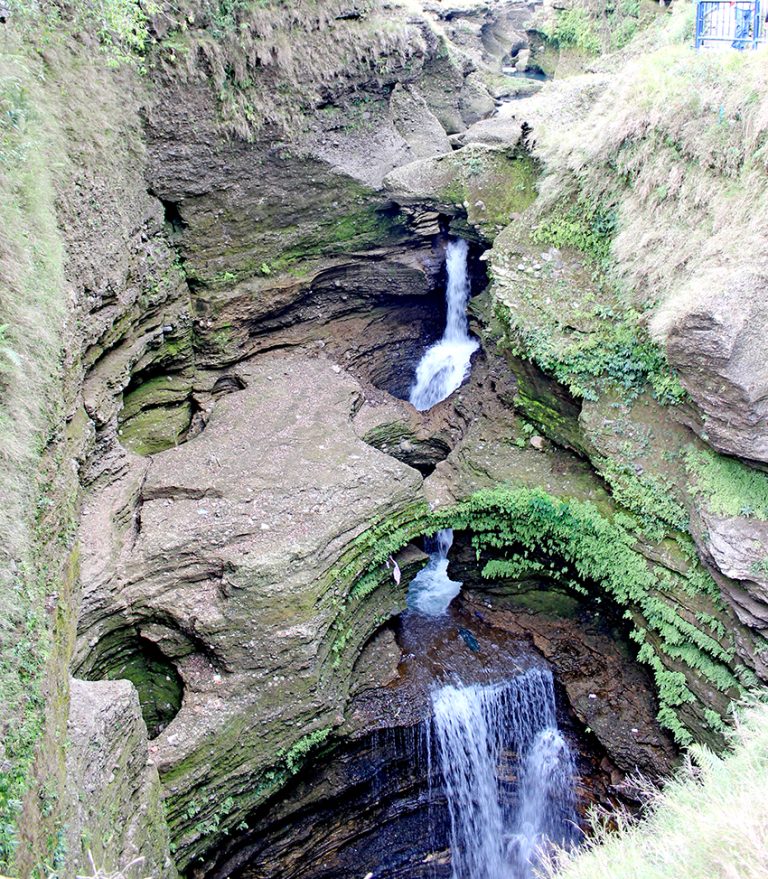 Davis Fall