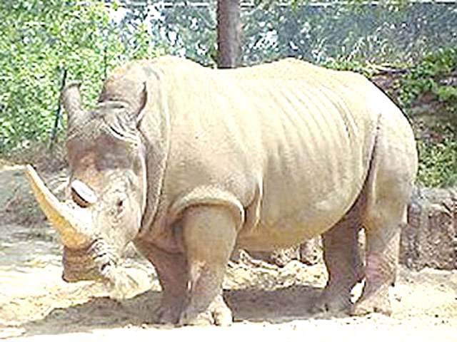 Dudhwa National Park