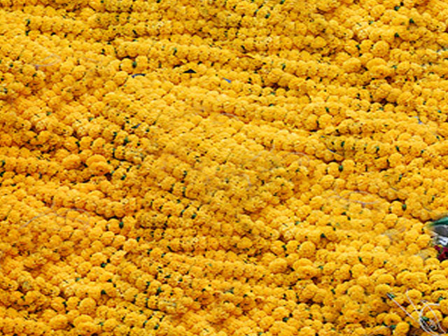 Flower Market