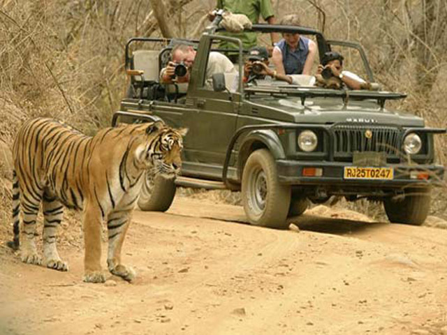 Ranthambhore National Park