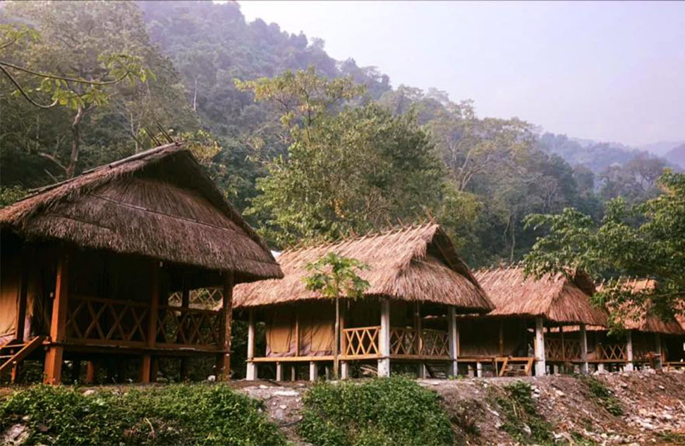 Jungle Eco Camp
