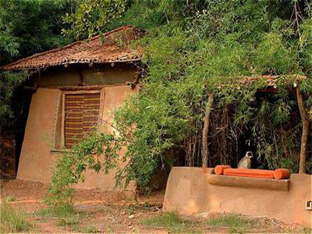 Mahua Kothi