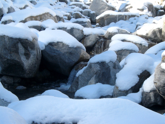 Manali