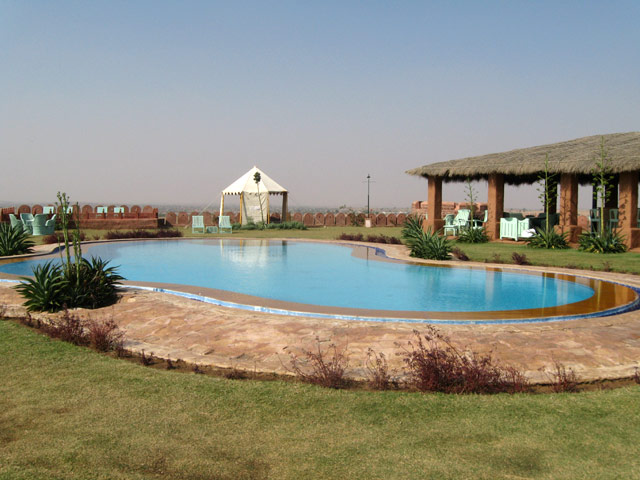 Reggie’s Camel Camp