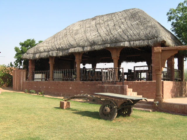 Reggie’s Camel Camp