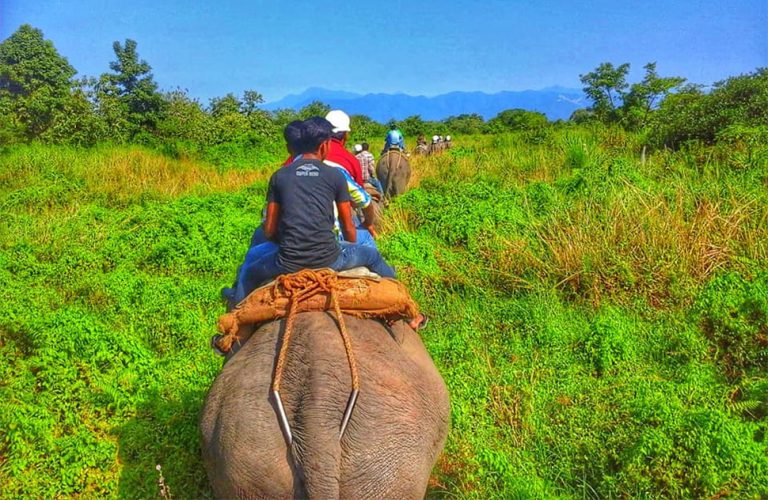 Panbang Eco Lodge