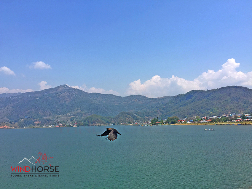 Phewa Lake