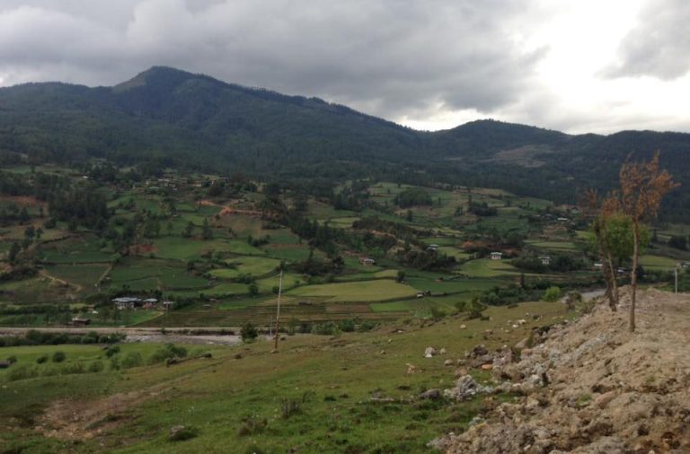 Phola Farm House