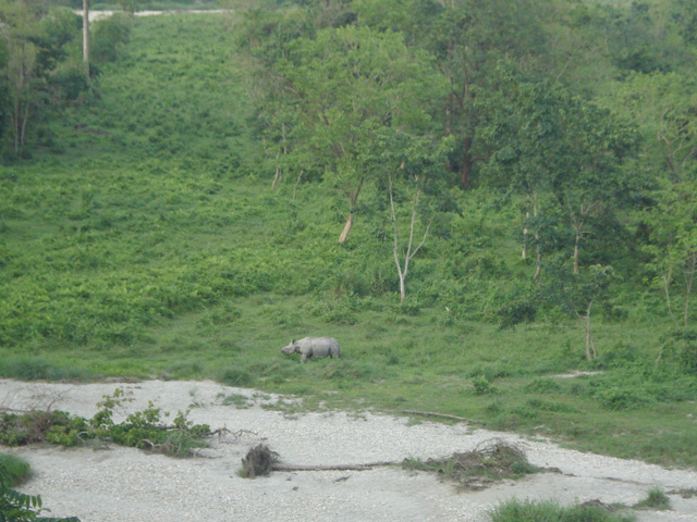 Gorumara National Park