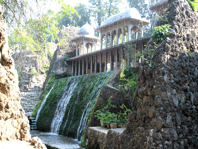 Rock Garden