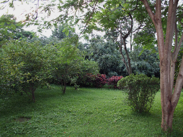 Hotel Sinclairs Retreat Dooars