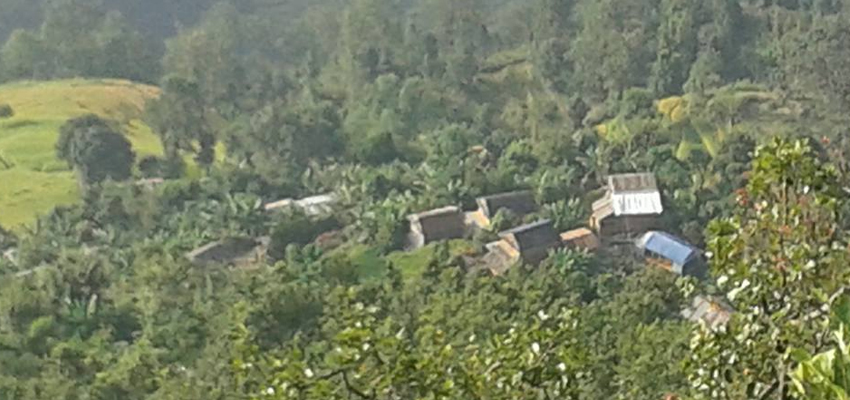 Sirubari Village