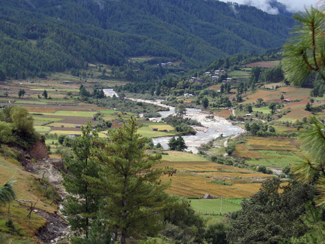 Tang Valley