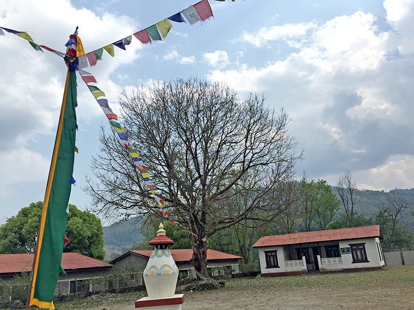 Tibetan Settlement Camps
