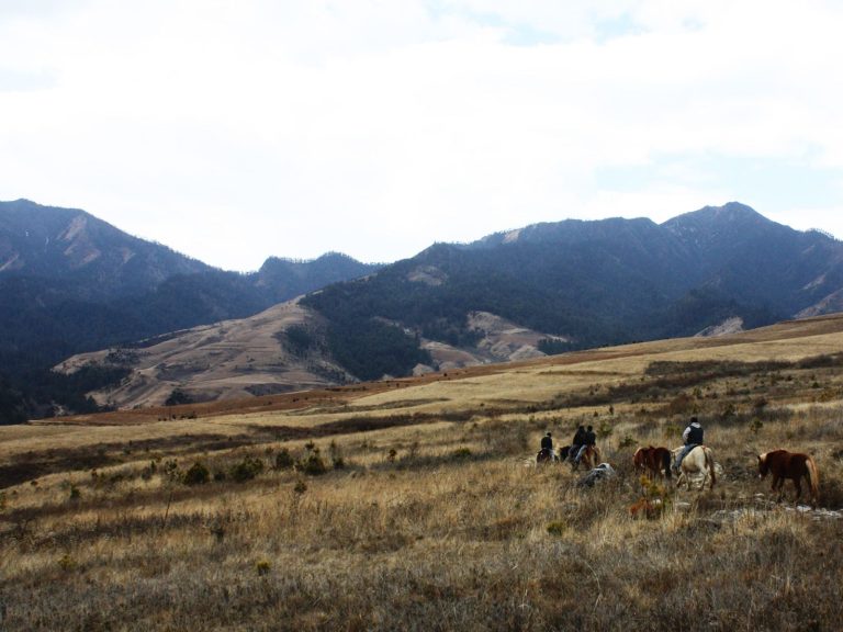 Riders crossing golden grassland below forested mountains