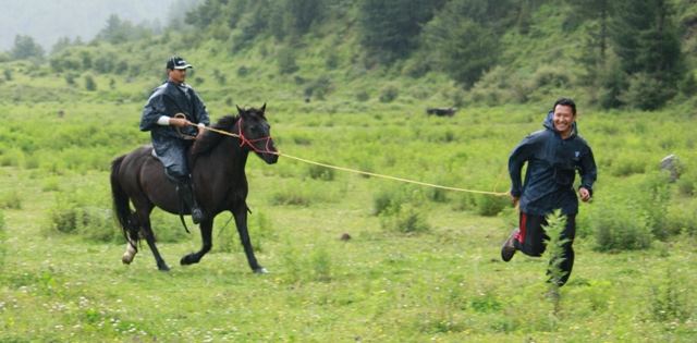 A handler lunging a horse and rider in a green meadow